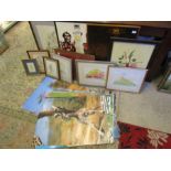 Mixed media framed pictures and 3D animal posters etc