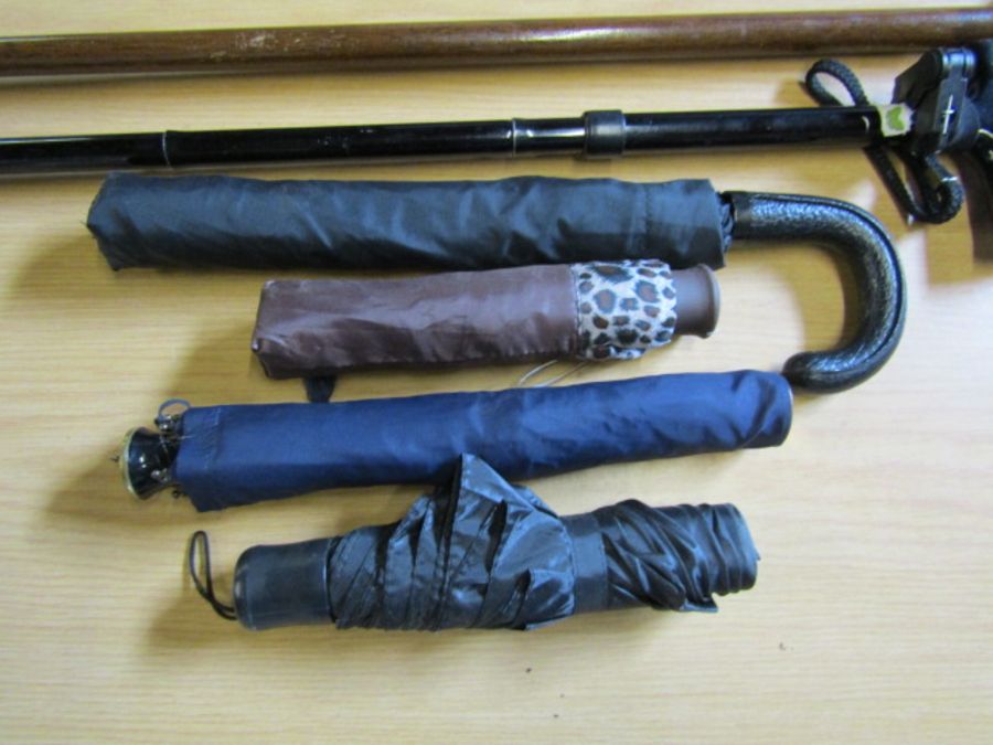 2 walking sticks and 4 umbrellas - Image 2 of 2