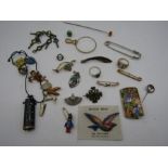 A collection of brooches, charms etc