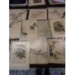 Japanese bird prints - most unmounted around 20