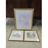 2 framed limited edition prints and a framed floral watercolour