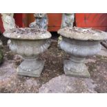 A pair of concrete urns 16" tall