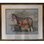 Sarah Grice Study of a hunter in the stable pastel, signed, Framed and glazed 30cm x 38cm