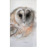 watercolour of a barn owl signed in pencil, Framed and mount