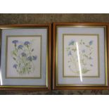Reta Lord watercolours of flowers, framed and glazed 12.5 x 10.5"