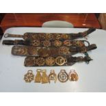 Collection of horse brasses