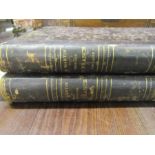 Histoire de France Populaire by Henri Martin, Furne 2 volumes