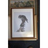 Three prints and watercolour to include a limited print limited print by Adrian Baumgartner 7/300 of