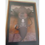 Framed marker pen signed (1988) RAF aircraft picture 43cm x 64cm approx