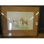 Malcolm D Allen local artist watercolour of a horse and foal