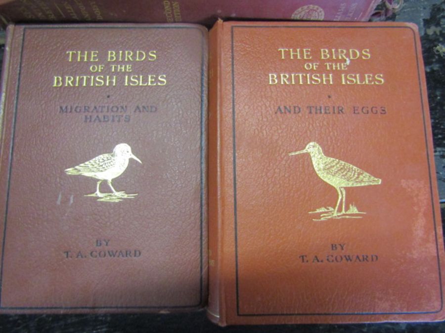 Birds of the British Isles series 2 and 3 and 'sex and internal secretions' books - Image 2 of 3