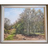 Brian Bennett, oil on canvas landscape of a birch woodland glade framed 88cm w by 72cm h, signed "