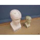 2 Ceramic Phrenology heads. Largest H25cm approx