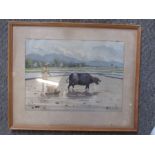 Signed watercolour depicting farmer and water buffalo