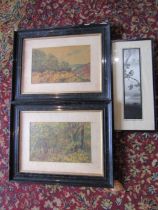3 Framed pictures including 2 oil paintings