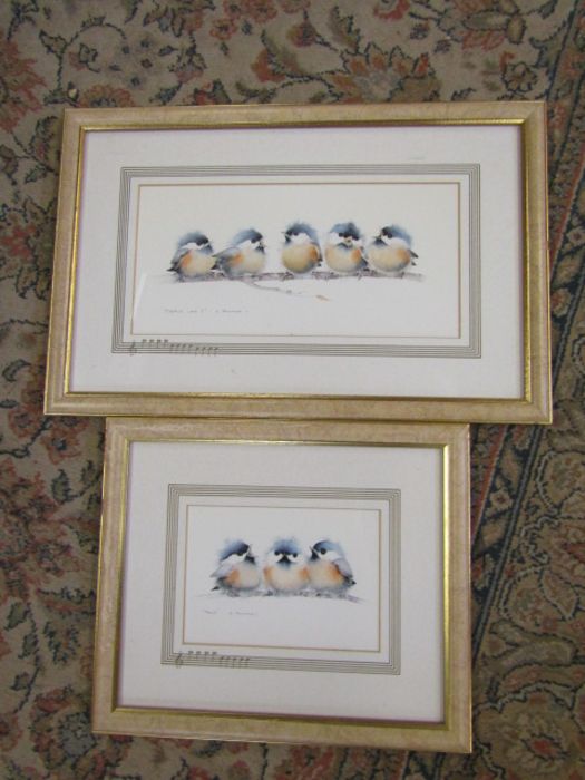 2 Framed limited edition bird prints