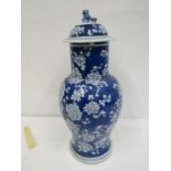 An oriental lidded vase with blue and white blossom detail and lid with foo dog 50cm tall