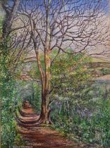 Glason, Norman (British artist ) watercolour landscape - Plantation walk, Salcombe, Glason taught at