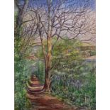 Glason, Norman (British artist ) watercolour landscape - Plantation walk, Salcombe, Glason taught at