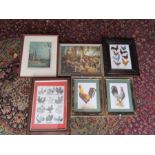 6 Framed prints including cocks