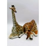 Two large Russian USSR porcelain giraffe figures, largest height 30cm