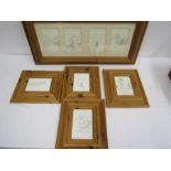 5 winnie the pooh prints in chunky pine frames