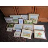 Collection of framed watercolours by local artist Jan Seaman