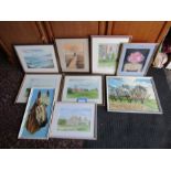 Collection of framed watercolours and oils by local artist Jan Seaman