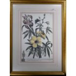 A SET OF FOUR GILT FRAMED PLATED PRINTS, each depicting various flora and fauna