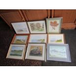 Collection of framed watercolours by local artist Jan Seaman