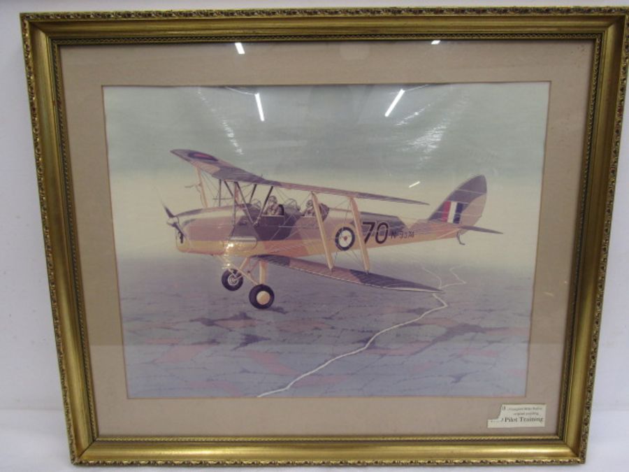 After 'Mark Bailey' picture of a Tiger Moth