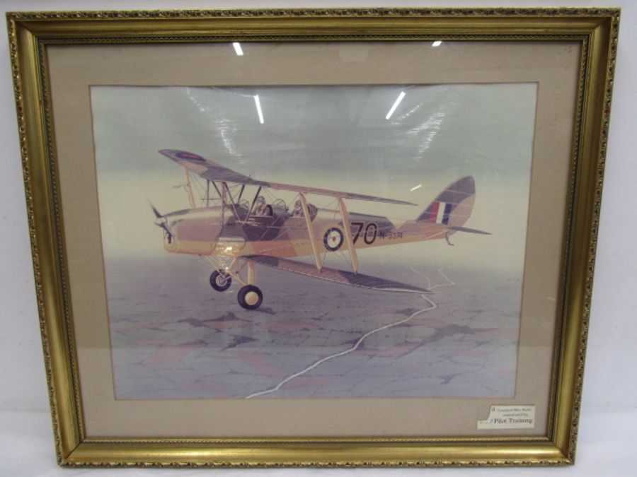 After 'Mark Bailey' picture of a Tiger Moth - Bild 4 aus 4