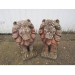 Pair of concrete Lion statues H45cm approx