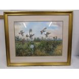 Carl Donner (British Contemporary) watercolour of a covey of English partridges flying over a hedge,