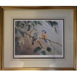Signed limited print Ralph Wahlt 643/750 study of blue tits, signed in pencil lower right