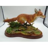 Border Fine Arts 'Breaking Cover' B0839 - limited edition fox 105/750 on wood plinth, approx 35cm