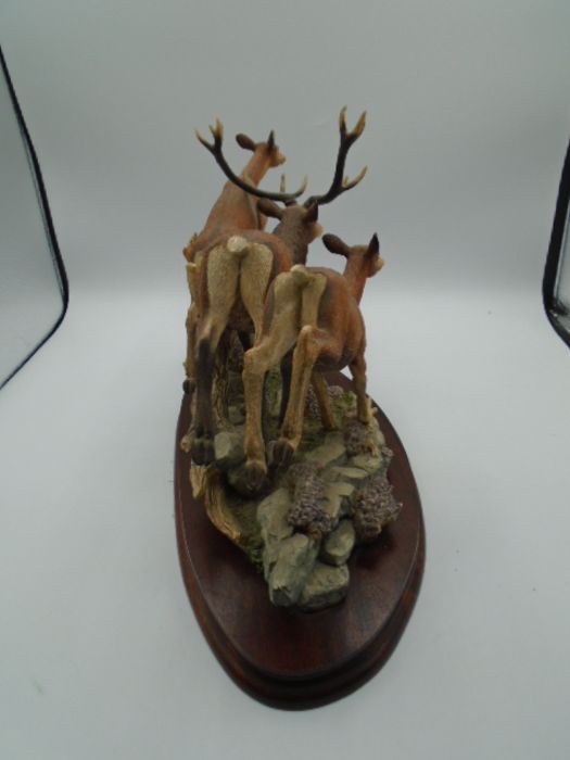 Border Fine Arts 'Highland Chase' - B0958 stag and deer, Limited edition 193/500 on wood plinth, - Image 7 of 7