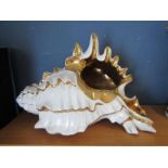 Italian porcelain shell- of large proportions 50cmH 75cmW right white with gold detail and inside
