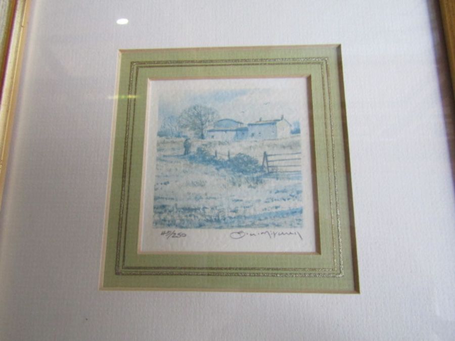 Boyeth Quigao signed watercolour and framed prints etc - Image 7 of 11