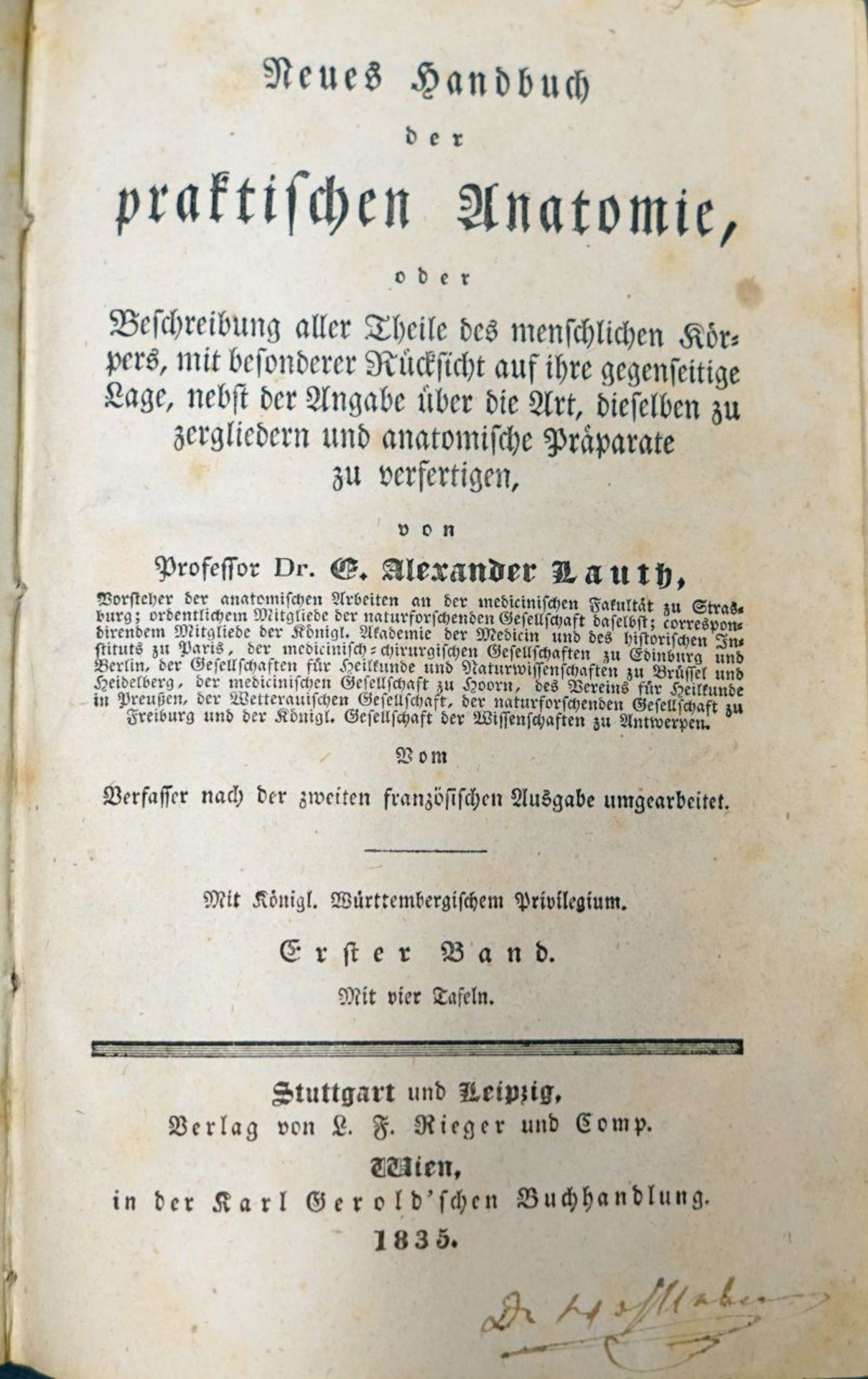 Lauth, E. Alexander: Neues Handbuch der praktischen Anatomie