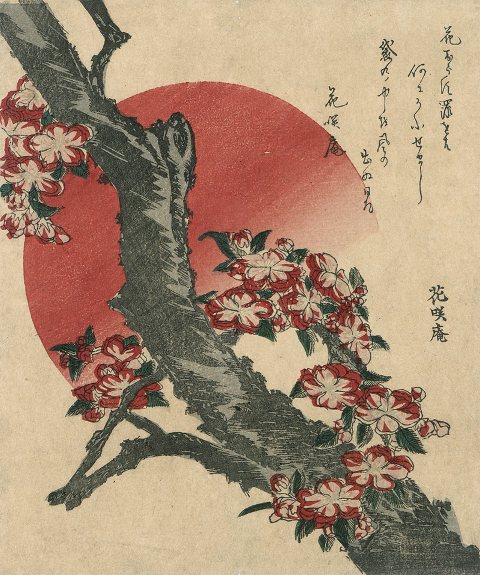 Hokusai, Katsushika: Sakura - Kirschblüte. Surimono 