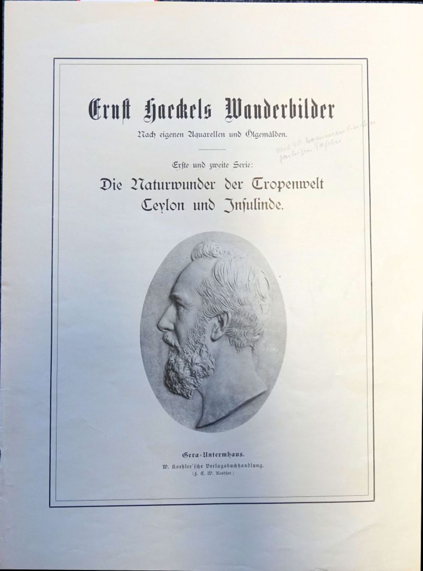 Haeckel, Ernst: Wanderbilder