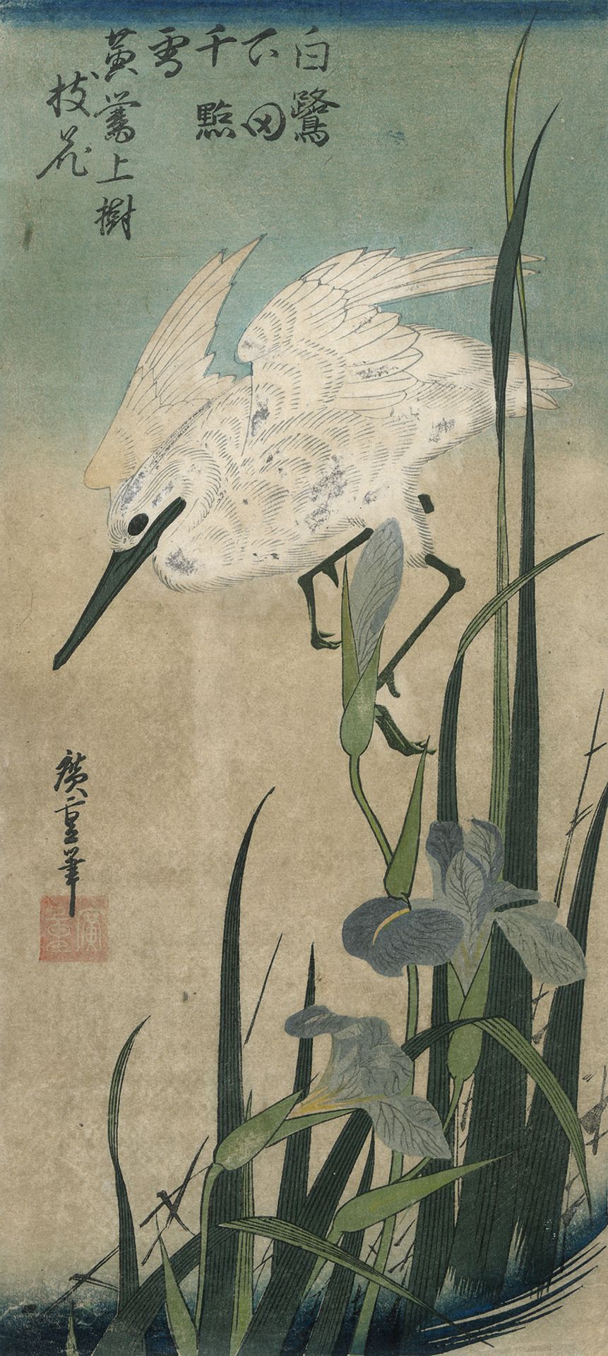 Hiroshige, Utagawa: Hanashoubu ni shirasagi (Weißer Reihe über der Iris). Fa...