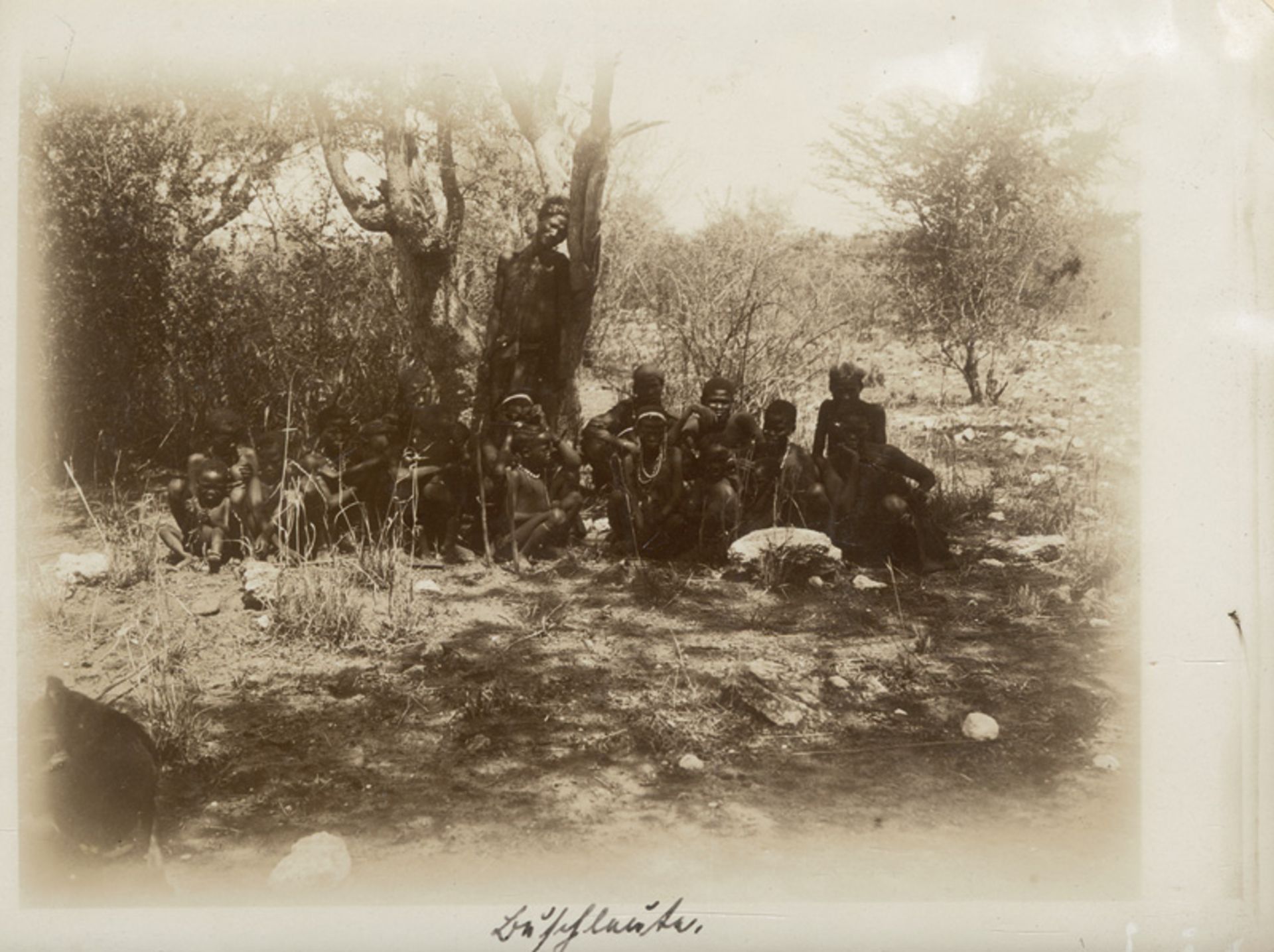 Namibia: Sammlung von ca. 50 Fotografien 1902-1906