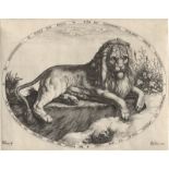 Gheyn II, Jacques de: Der große Löwe