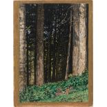 Rothaug, Alexander: Waldlandschaft / Dunkler Wald