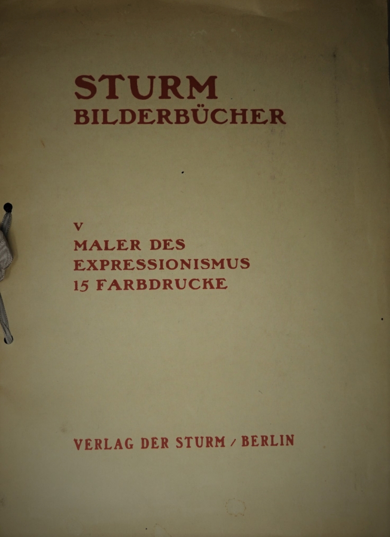 Sturm-Bilderbücher: Band V - Maler des Expressionismus 15 Farbdrucke