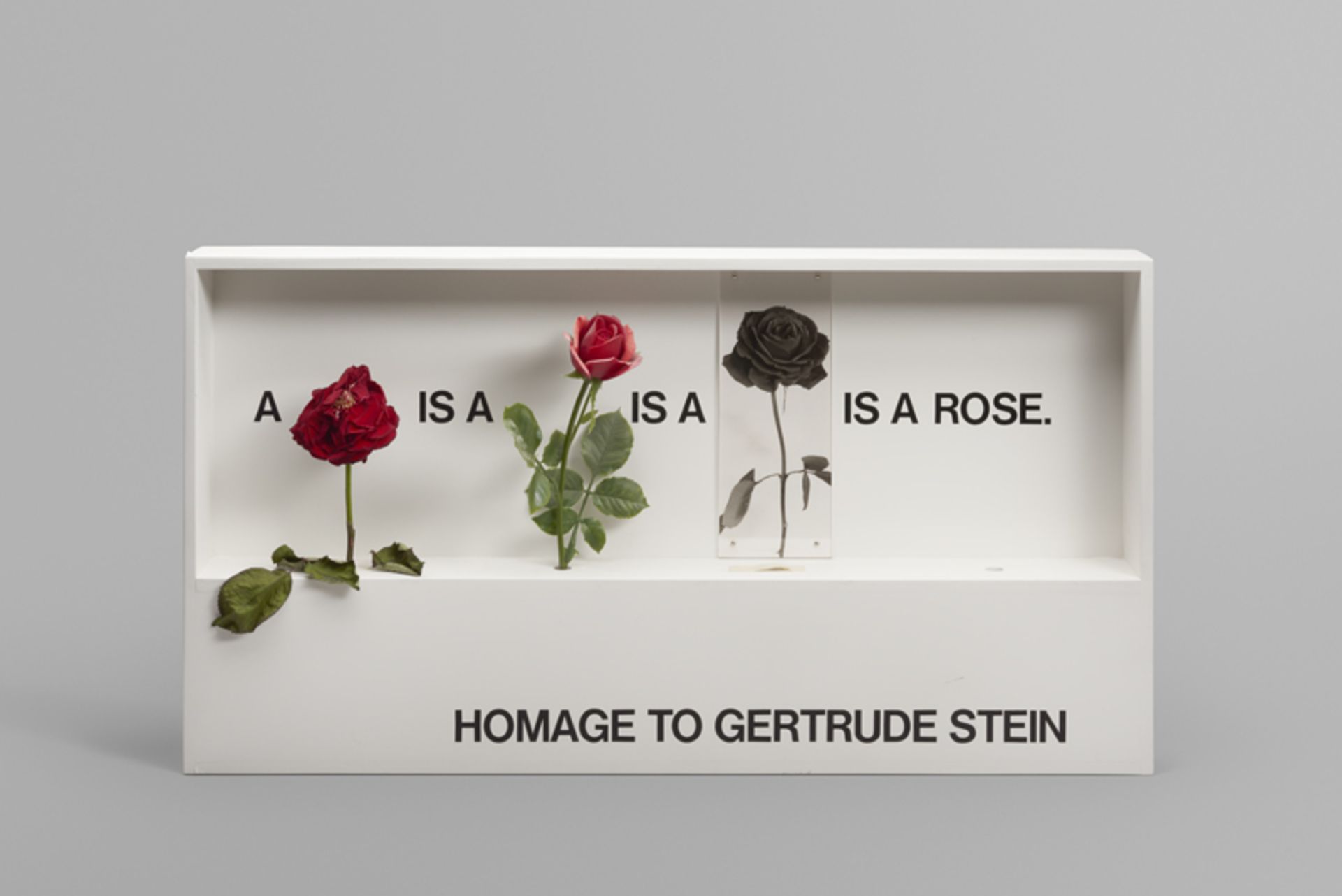 Ulrichs, Timm: Homage to Gertrude Stein (a rose is a rose is a rose)