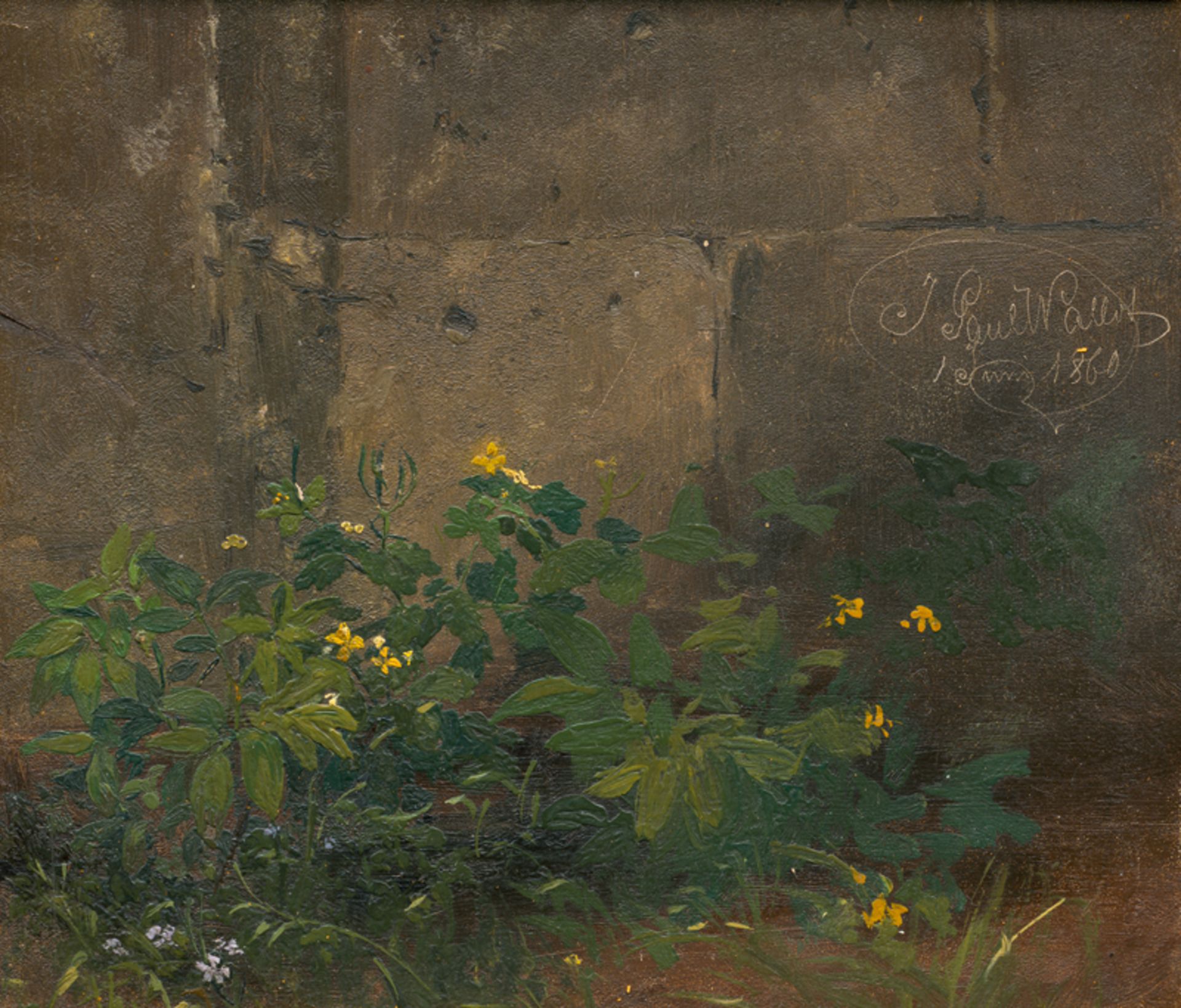 Wallot, Johann Paul: Wildblumen bei einer alten Mauer