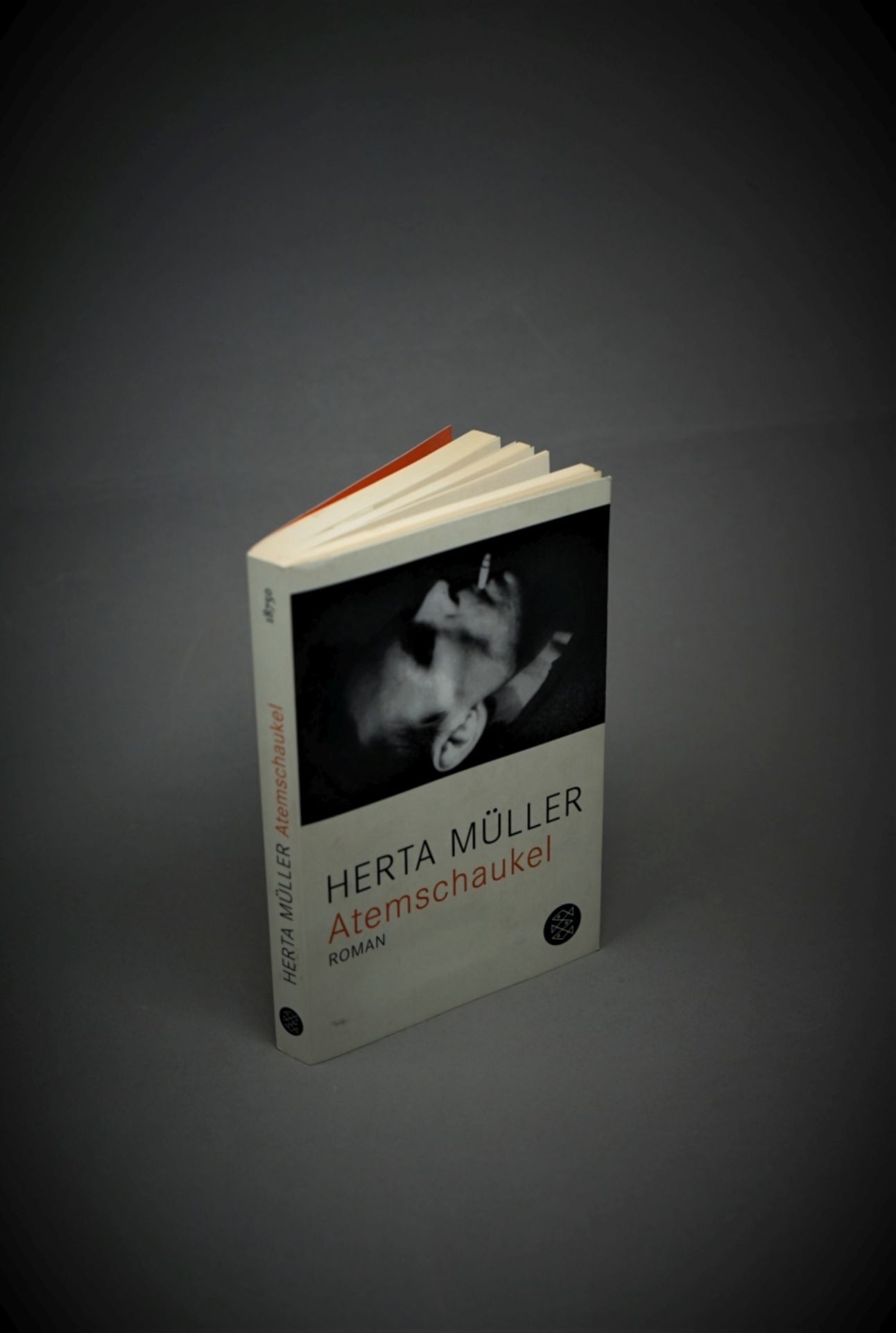 Müller, Herta: Atemschaukel